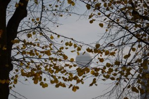 O Alster no outono, o zepelim entre os galhos, uma porta aberta, outubro de 20111.